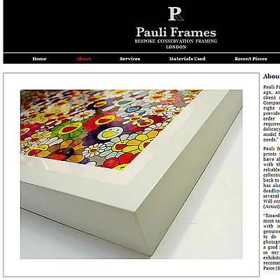 Pauli Frames